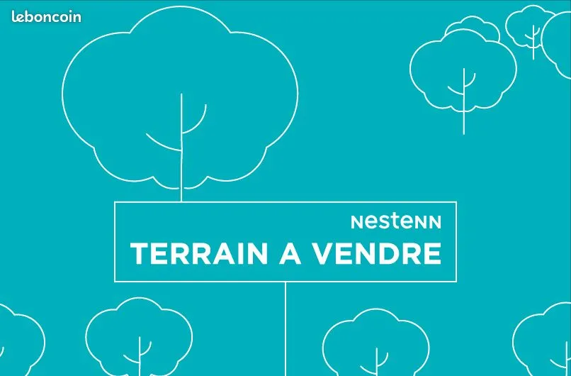 Terrain