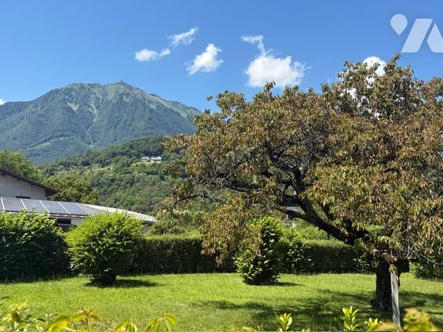 Terrain