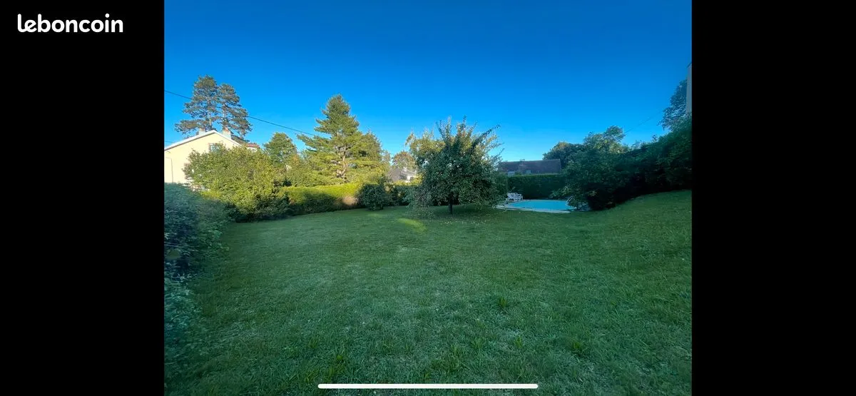 Terrain