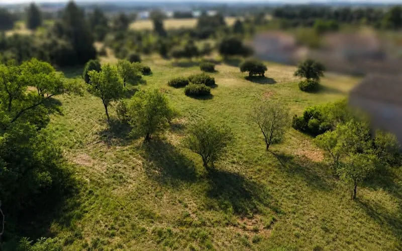Terrain