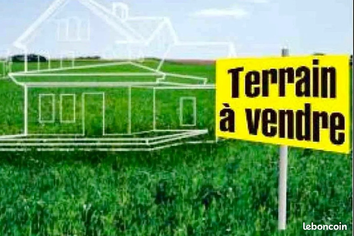 Terrain