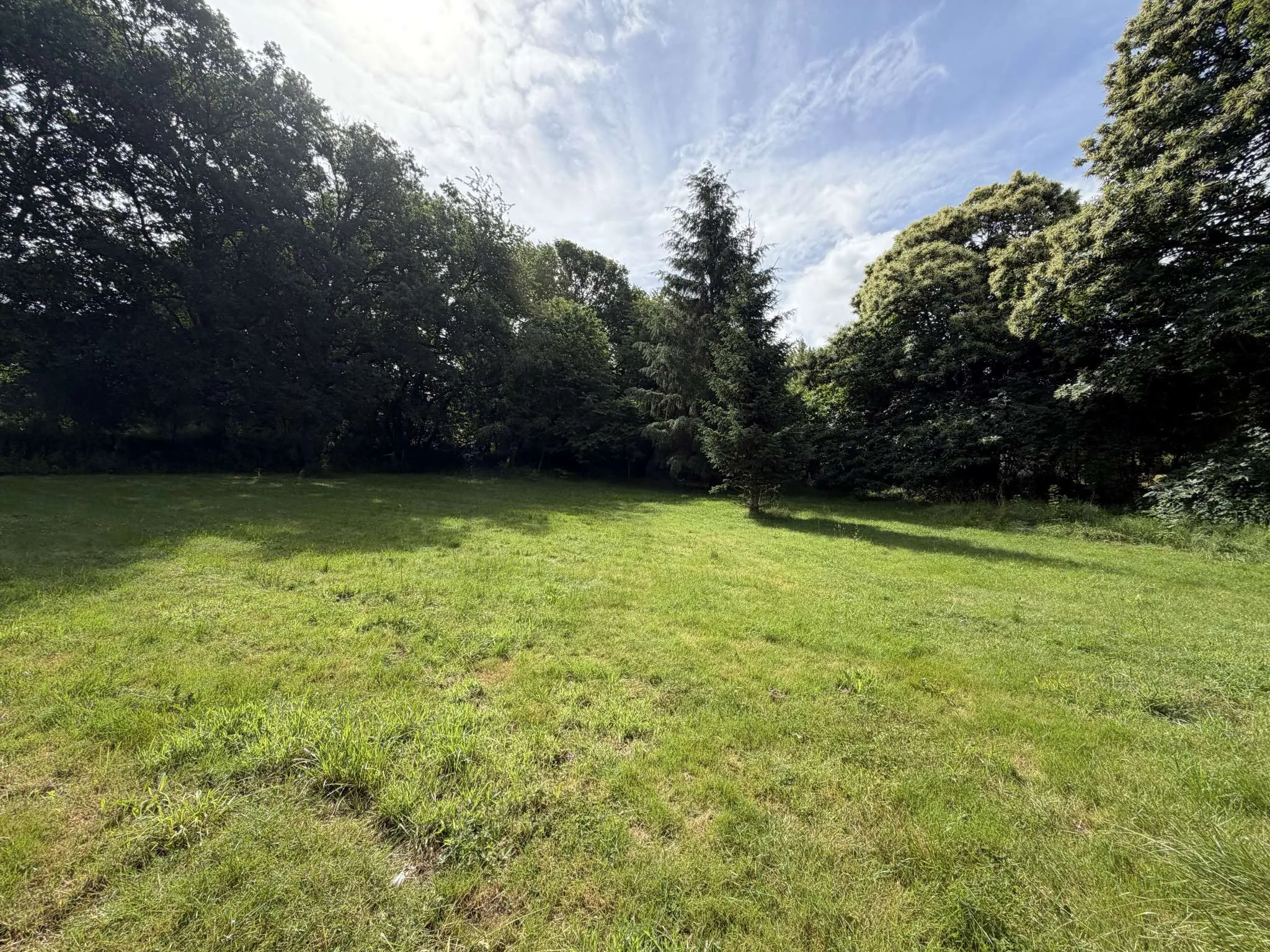 Terrain