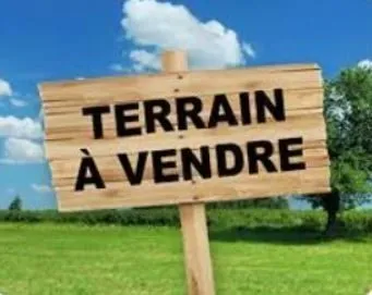 Terrain