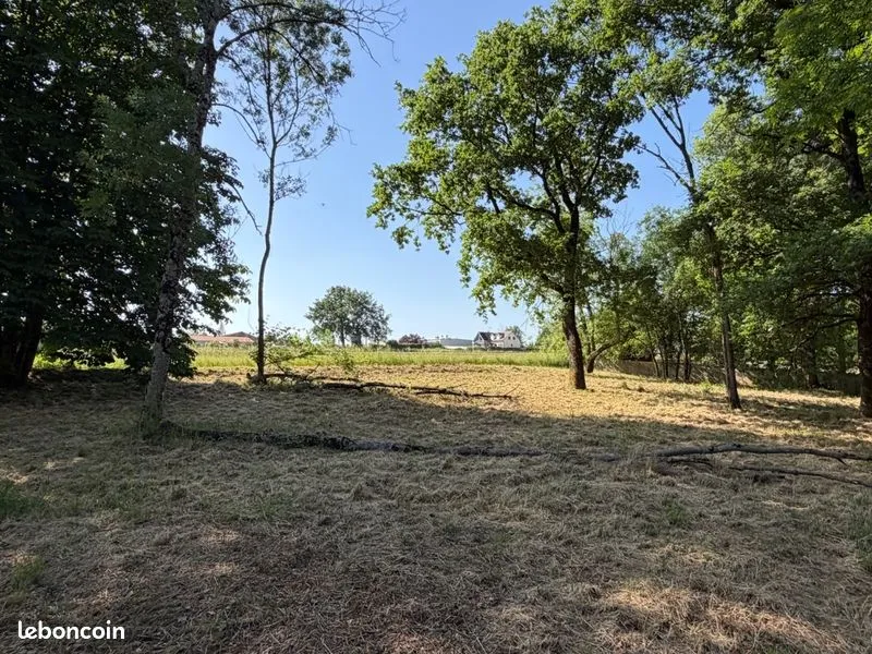 Terrain