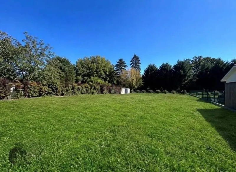 Terrain