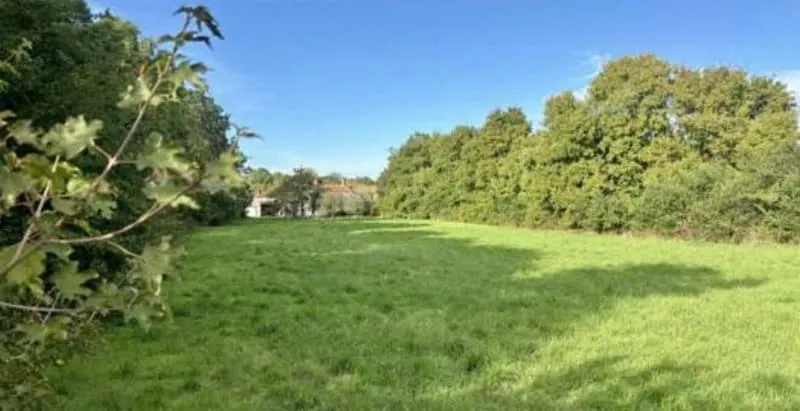 Terrain