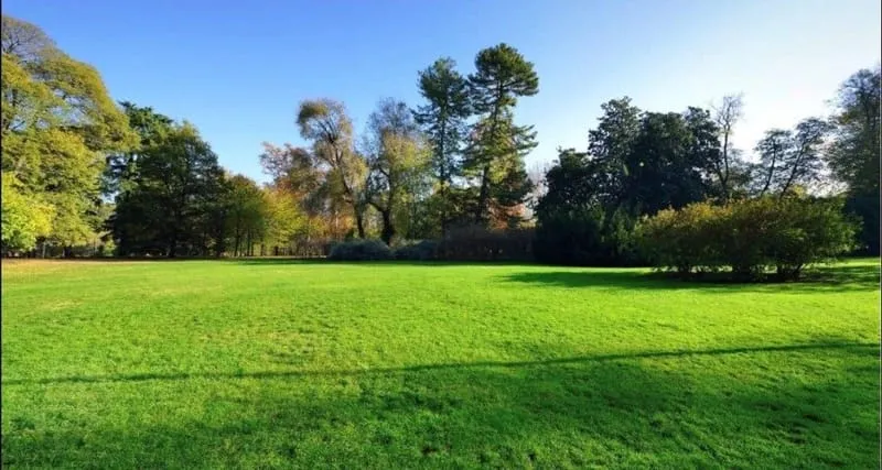 Terrain