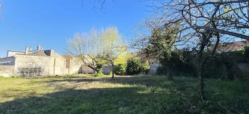 Terrain