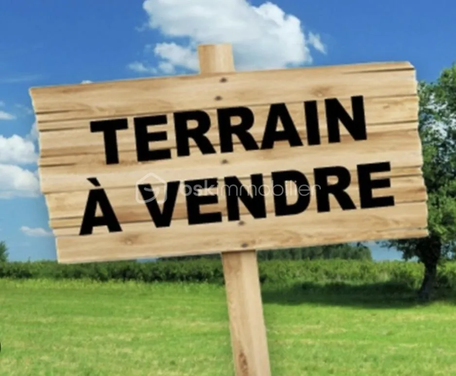 Terrain