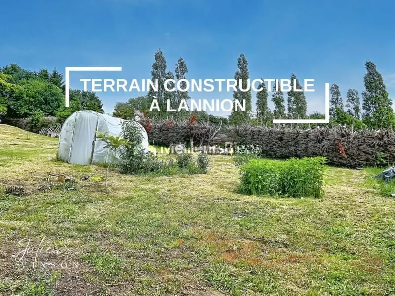 Terrain