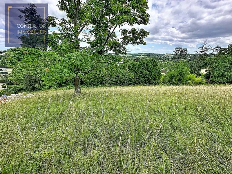 Terrain