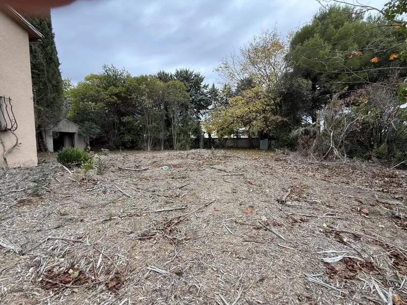 Terrain