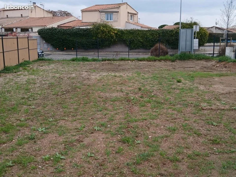 Terrain