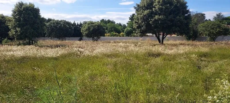 Terrain