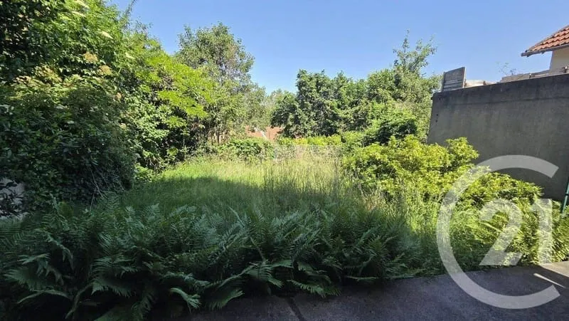 Terrain