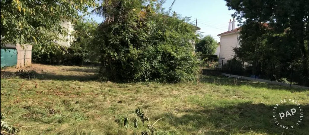Terrain