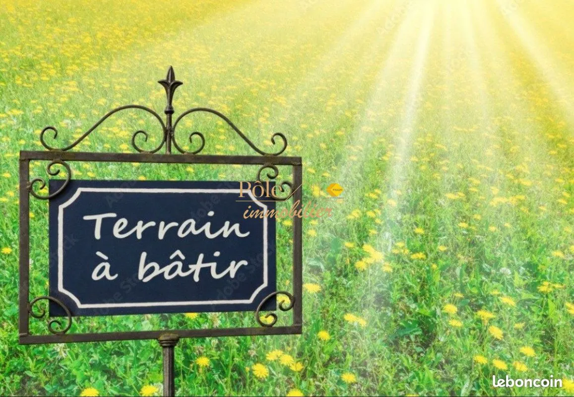 Terrain