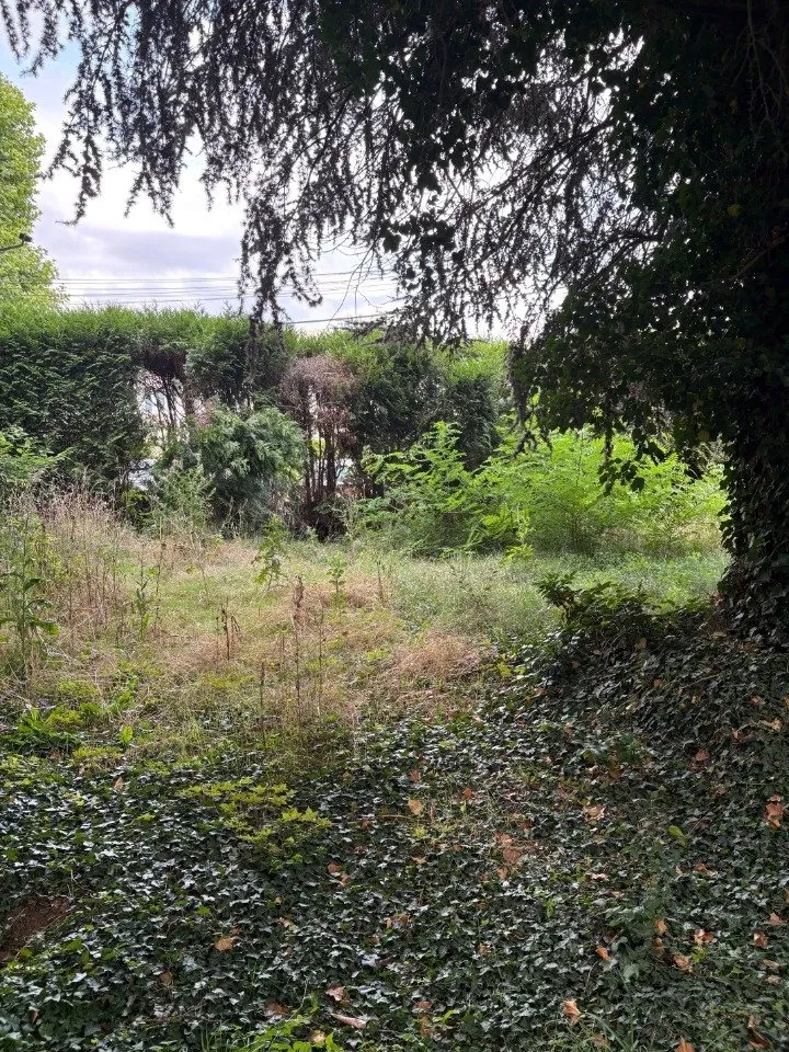 Terrain