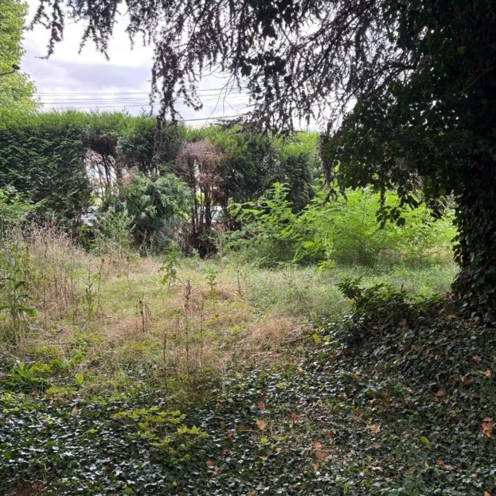 Terrain