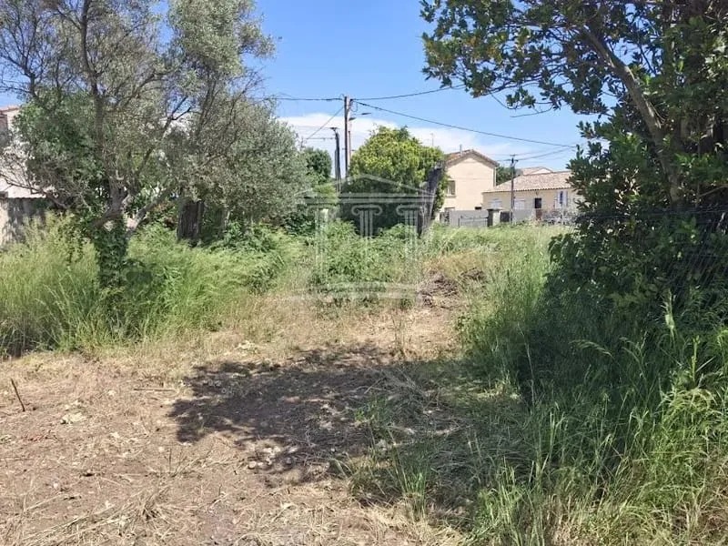 Terrain