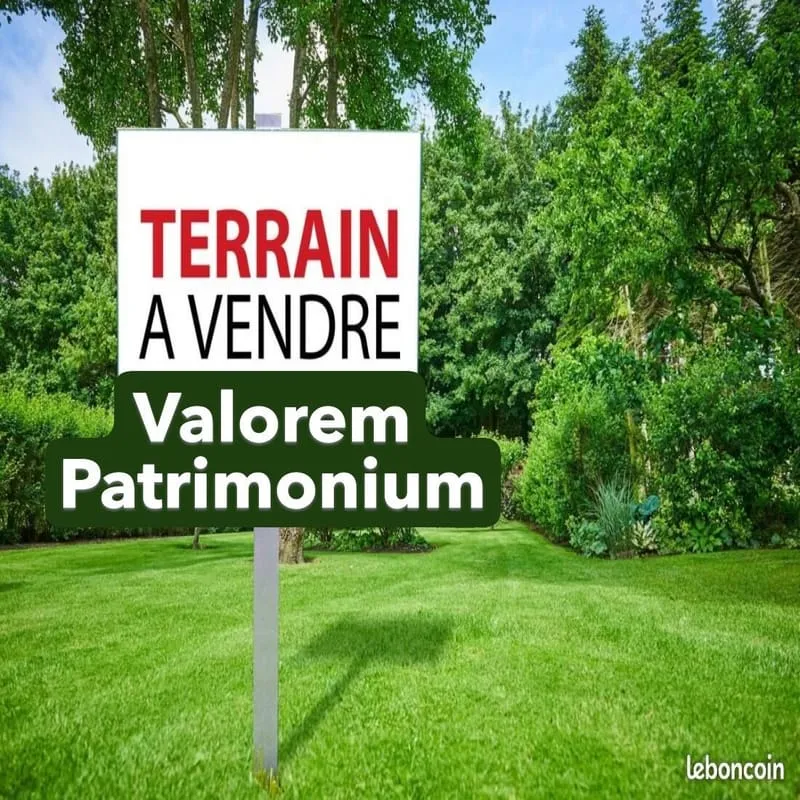 Terrain