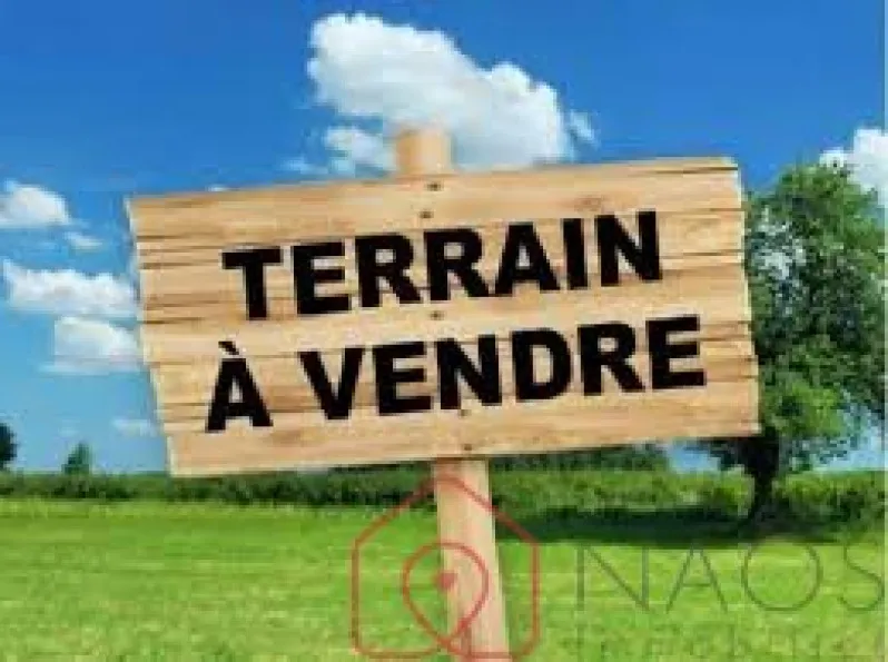 Terrain