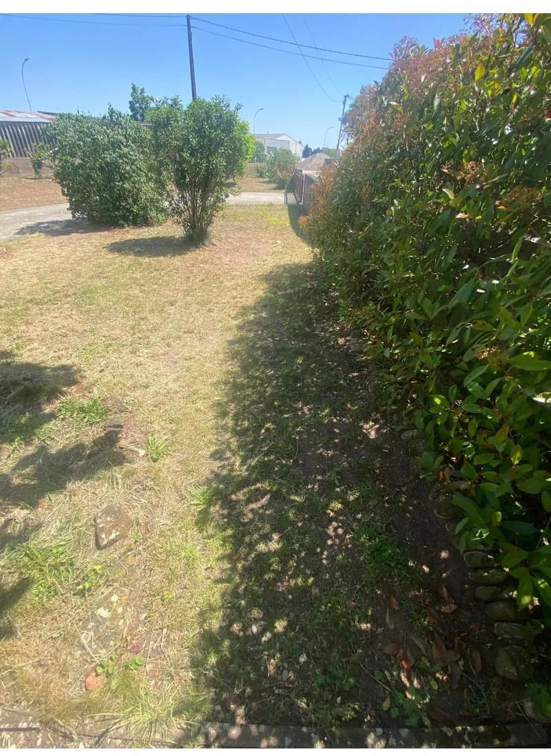 Terrain