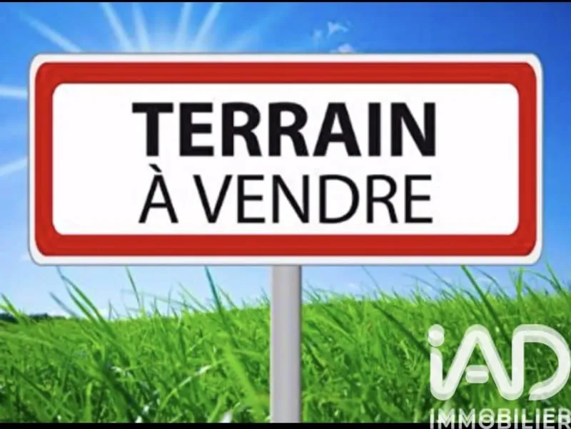 Terrain