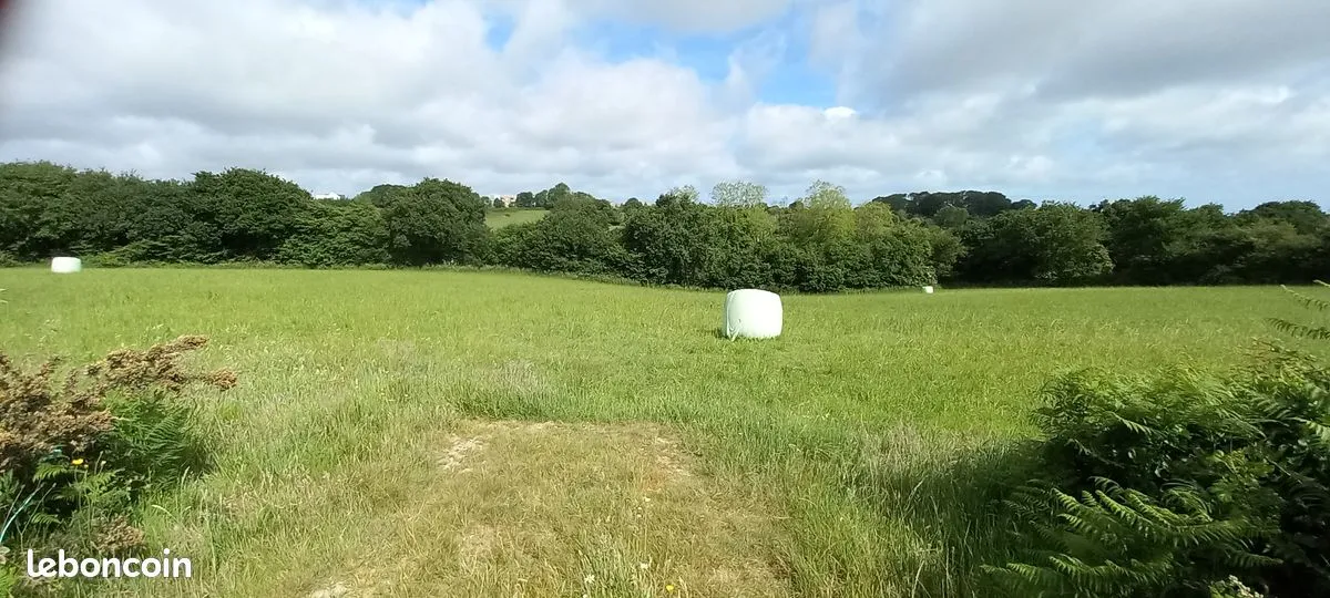 Terrain