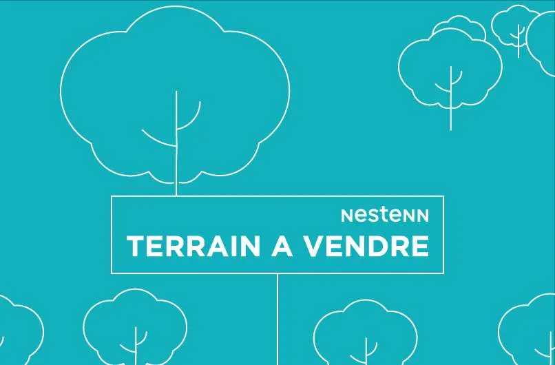Terrain