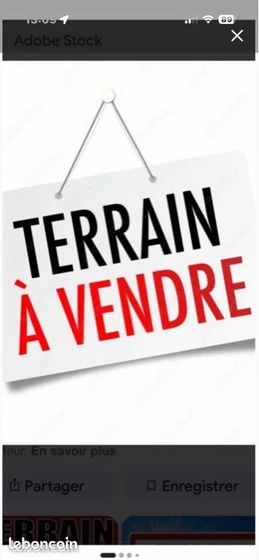 Terrain