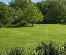 Terrain