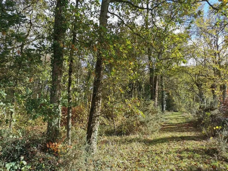 Terrain