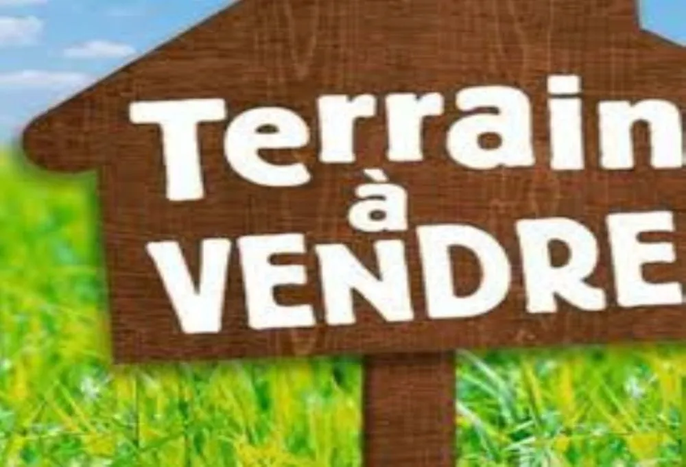 Terrain