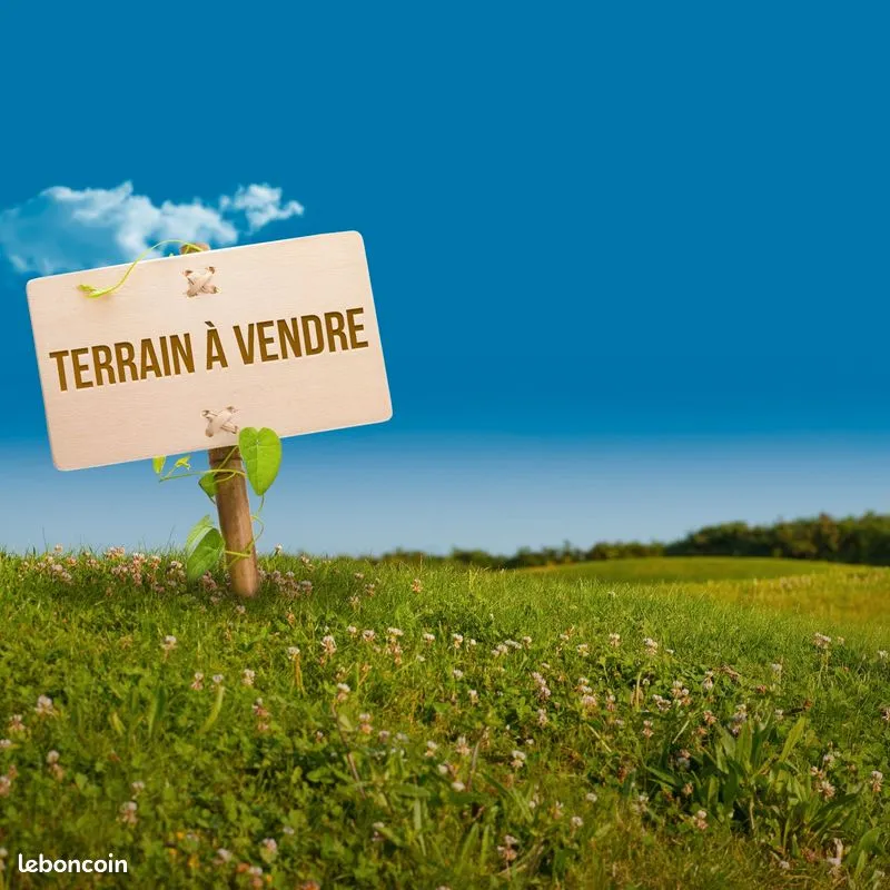 Terrain