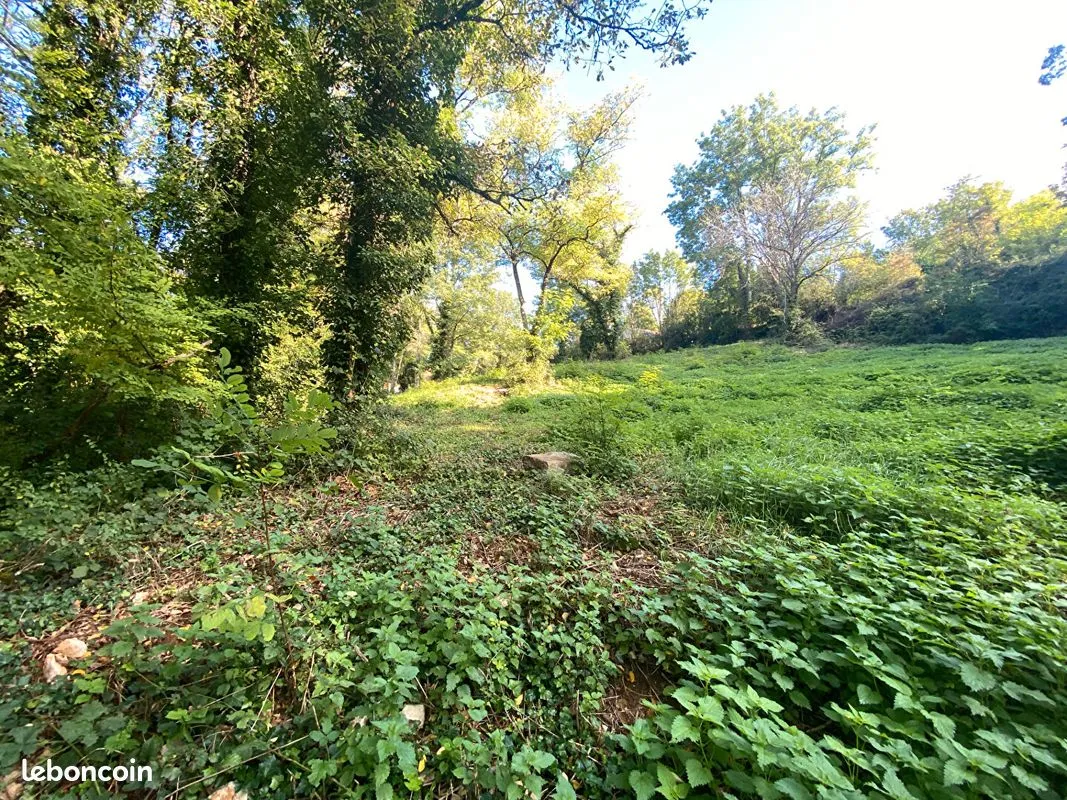 Terrain