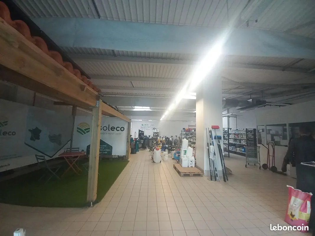 Local commercial