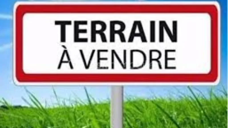 Terrain