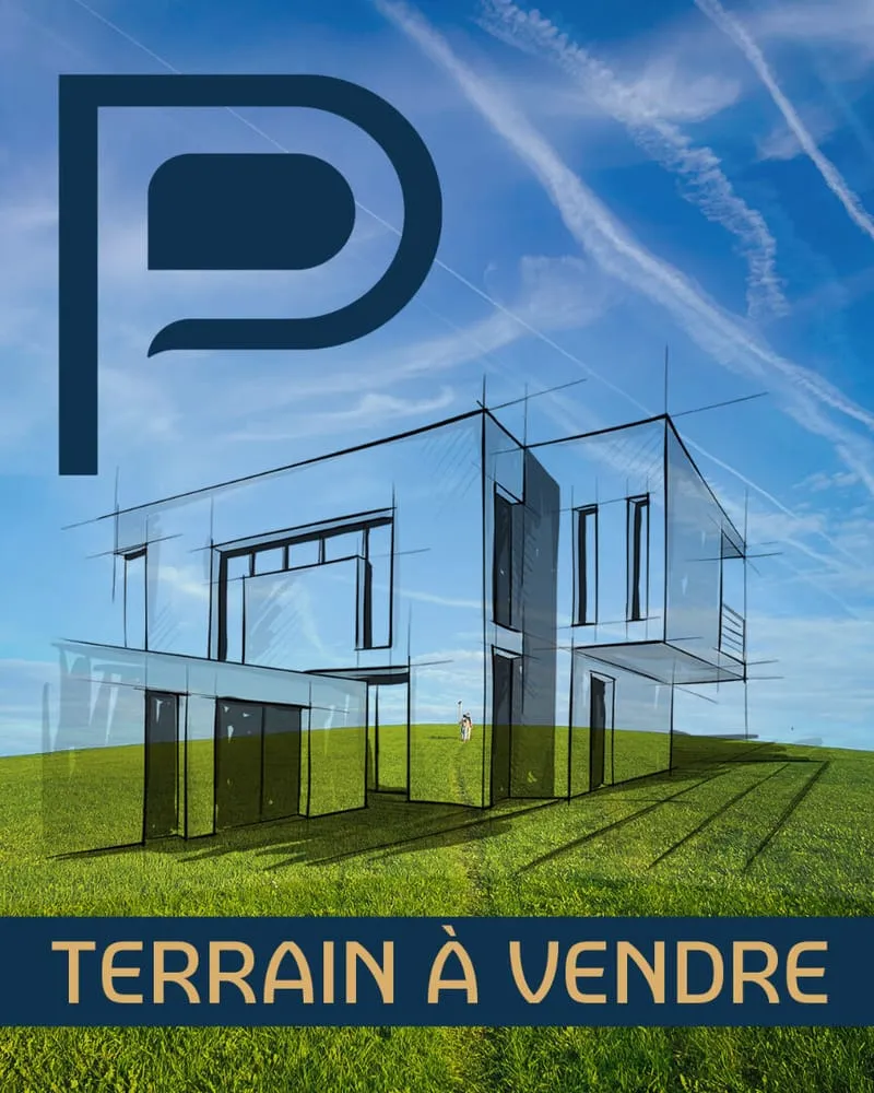 Terrain