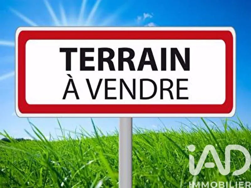 Terrain
