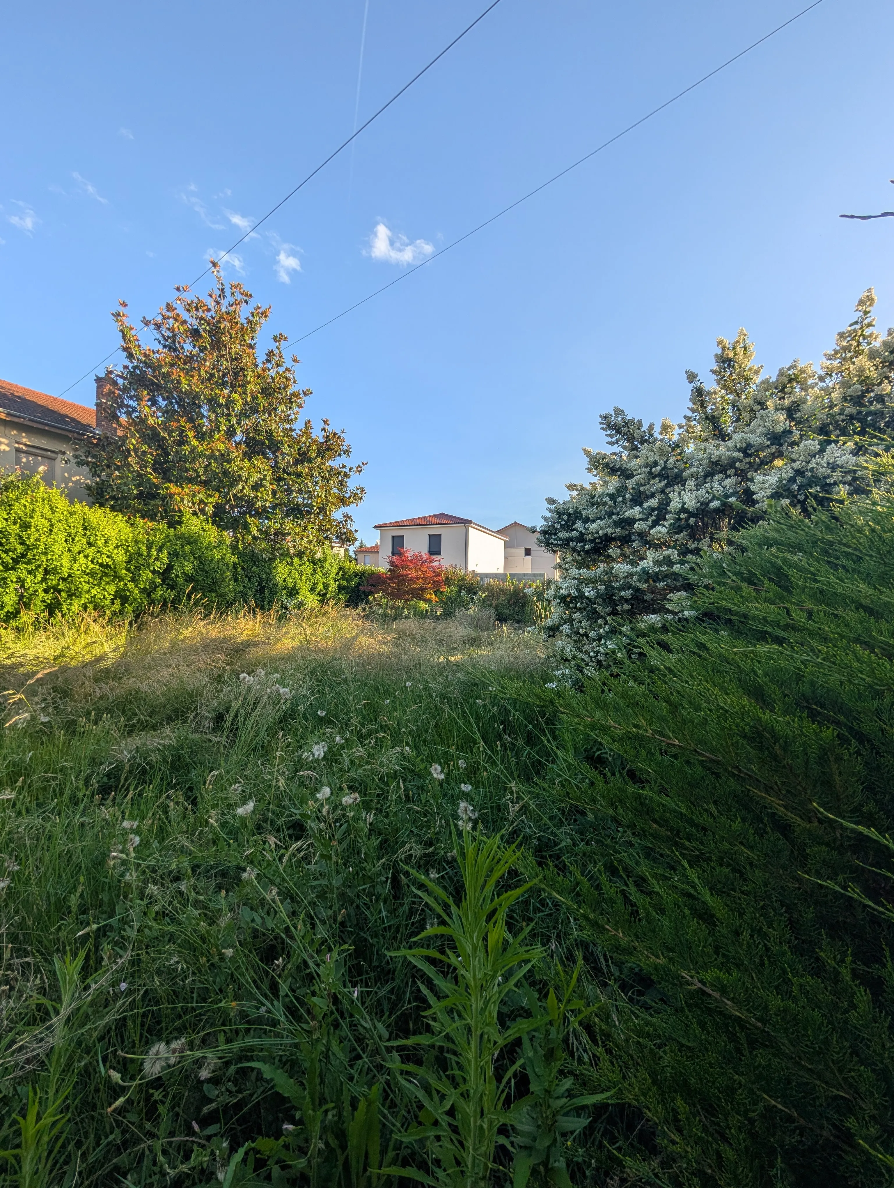 Terrain