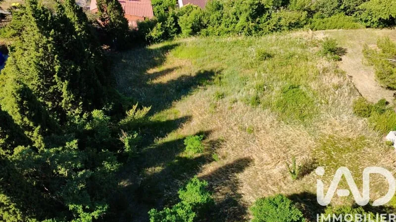 Terrain