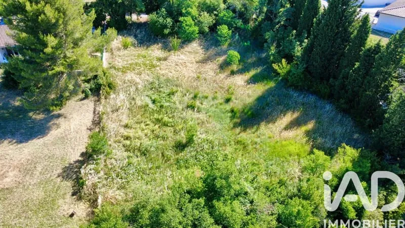 Terrain