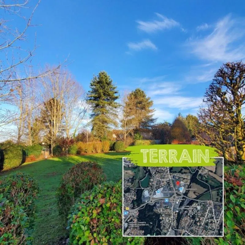 Terrain