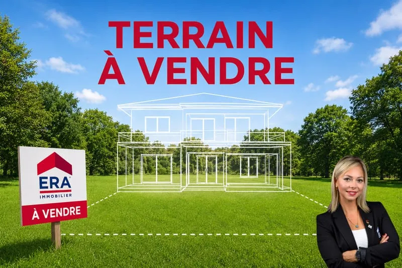 Terrain