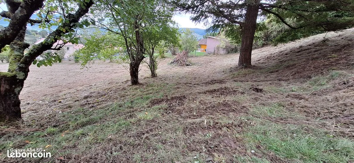 Terrain