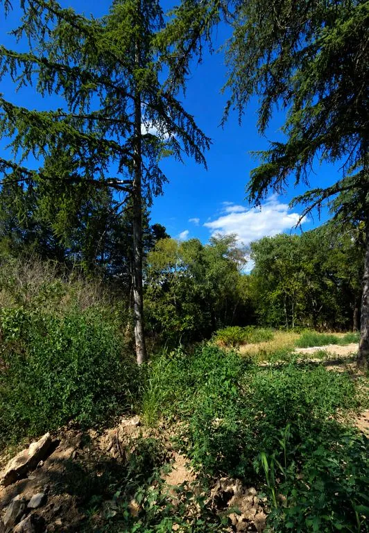 Terrain