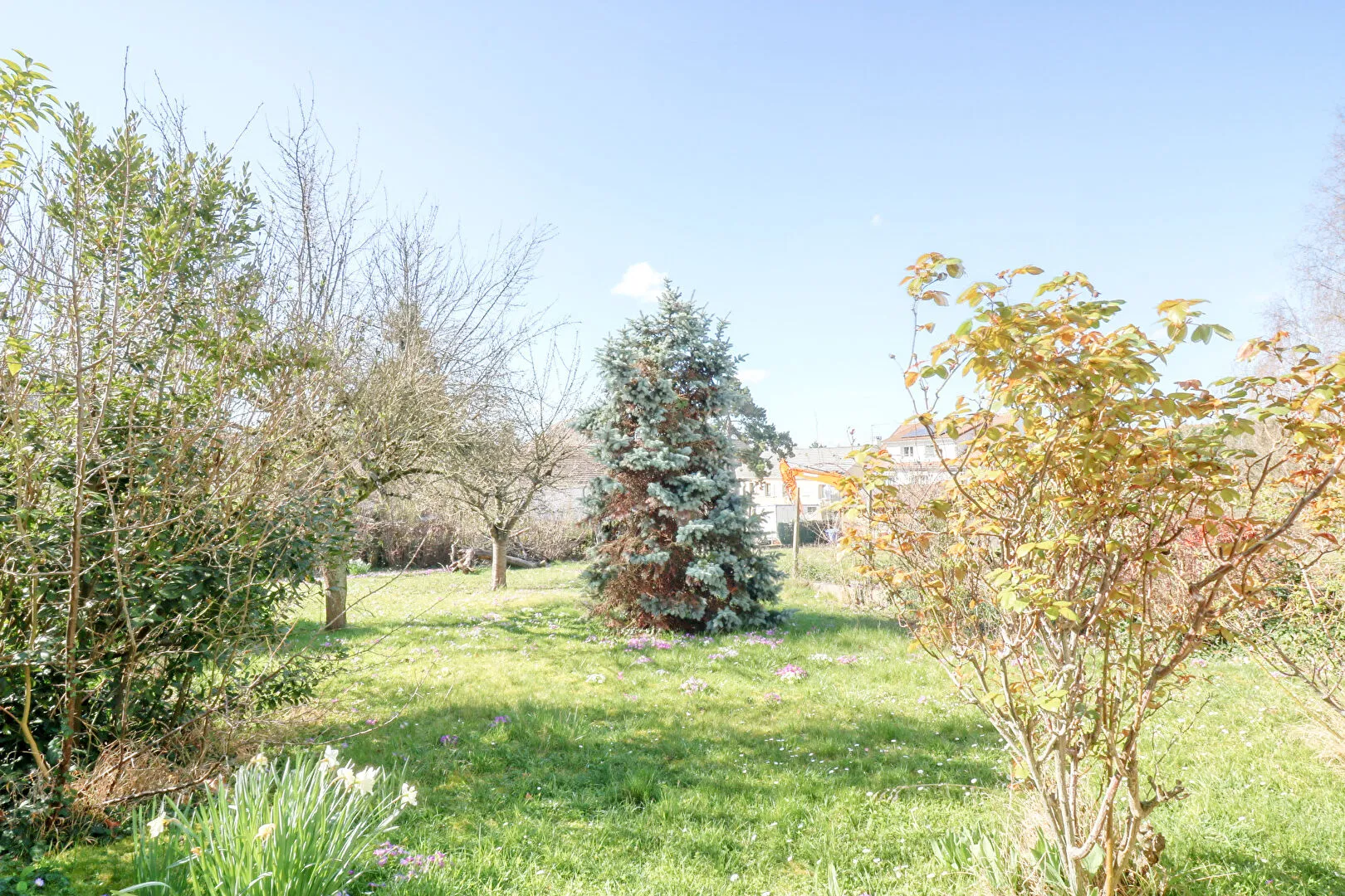 Terrain