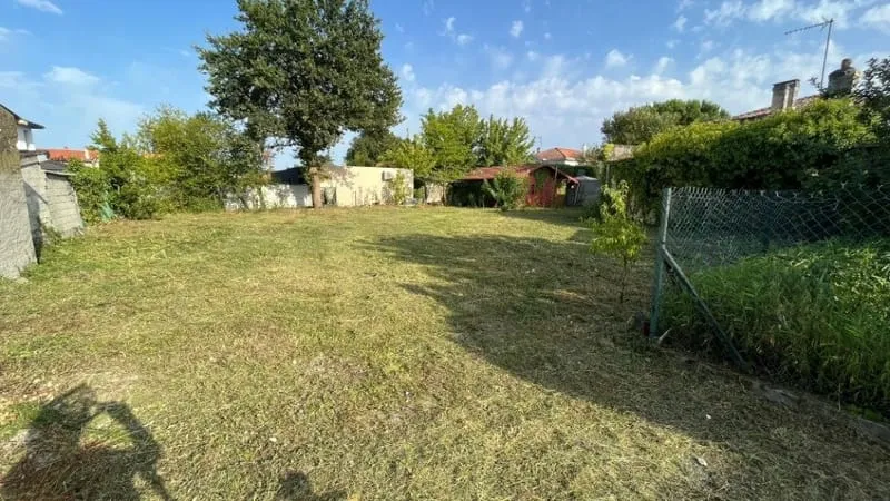 Terrain