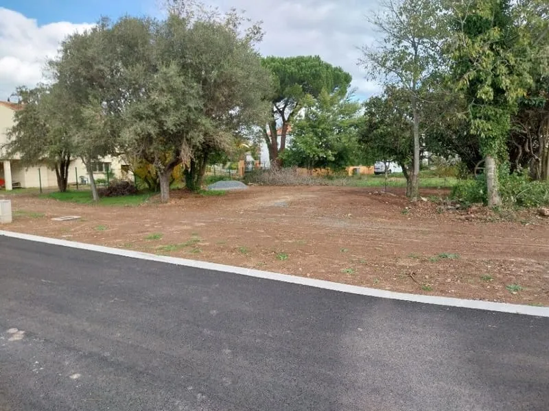 Terrain